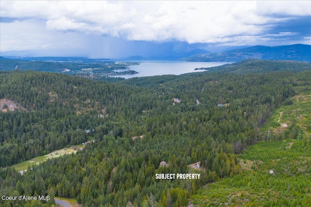 403 Kula Dr, Sagle, ID 83860 - photo 63