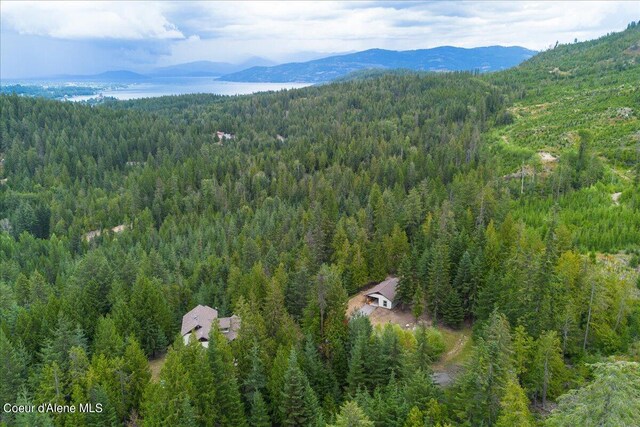 403 Kula Dr, Sagle, ID 83860 - photo 78