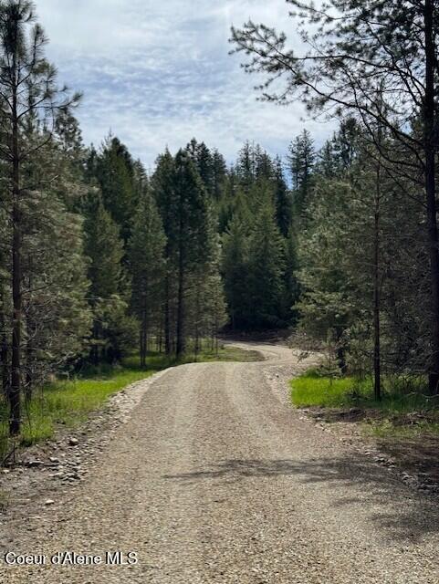 NKALOT3 Daytona Dr, Priest River, ID 83856 - photo 4
