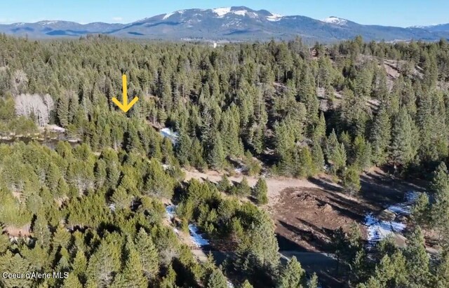 NKALOT3 Daytona Dr, Priest River, ID 83856 - photo 22