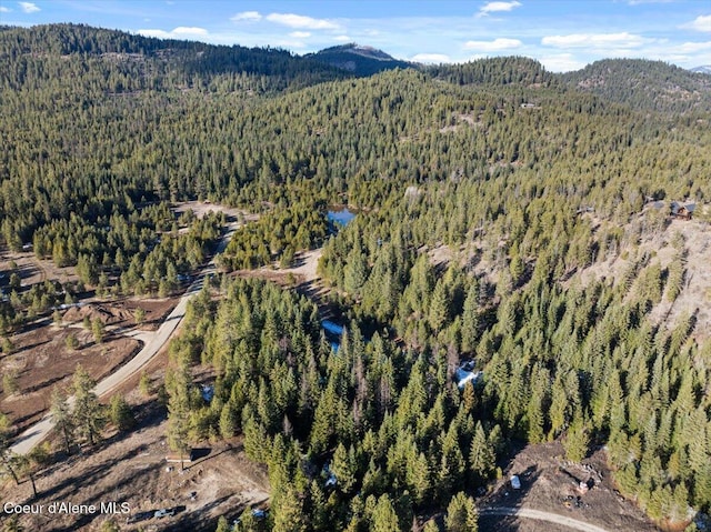 NKALOT4 Daytona Dr, Priest River, ID 83856