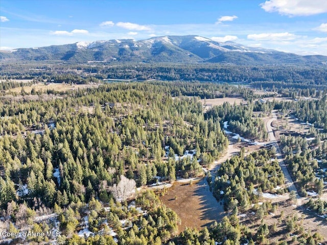 NKALOT4 Daytona Dr, Priest River, ID 83856