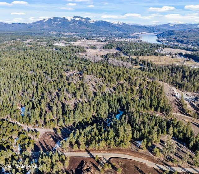 NKALOT4 Daytona Dr, Priest River, ID 83856