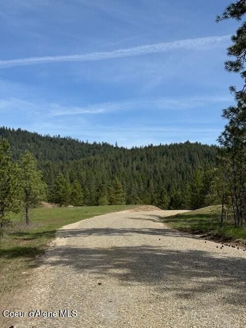 NKALOT4 Daytona Dr, Priest River, ID 83856
