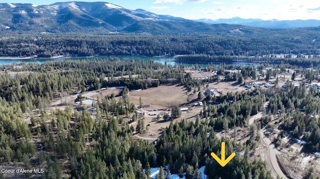 NKALOT4 Daytona Dr, Priest River, ID 83856