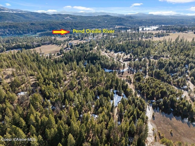 NKALOT4 Daytona Dr, Priest River, ID 83856