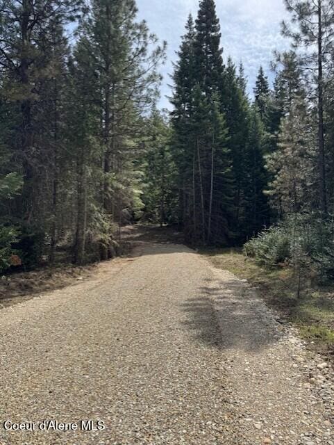NKALOT4 Daytona Dr, Priest River, ID 83856