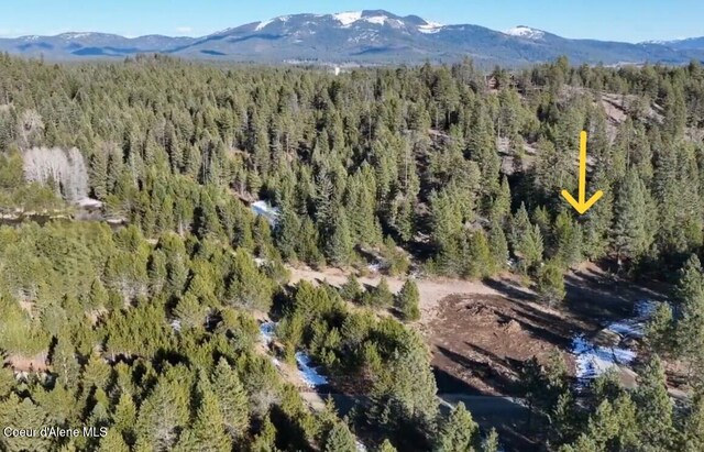 NKALOT4 Daytona Dr, Priest River, ID 83856