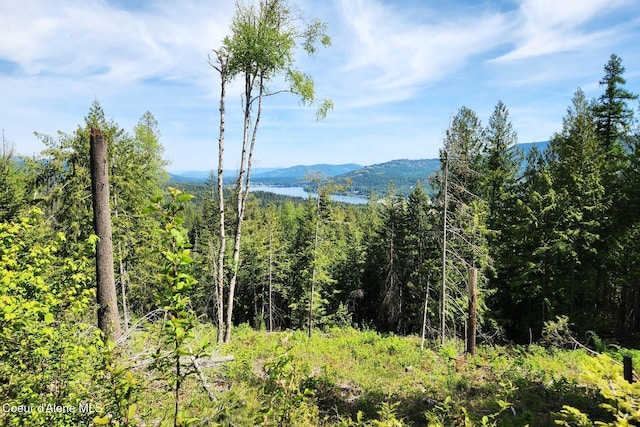 802 Fish Creek Rd Unit H3, Cocolalla, ID 83813