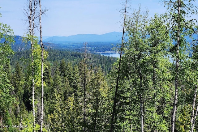 802 Fish Creek Rd Unit H3, Cocolalla, ID 83813