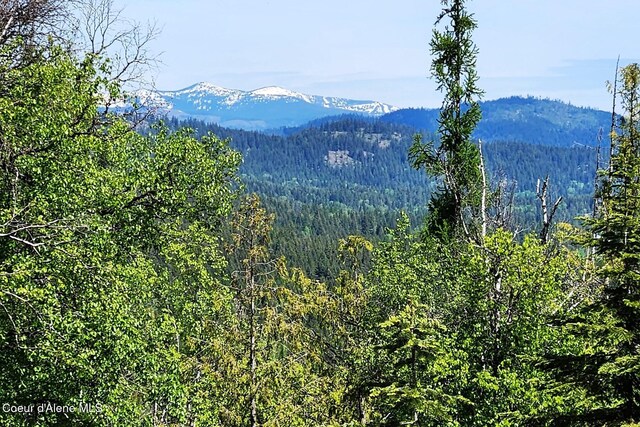 802 Fish Creek Rd Unit H3, Cocolalla, ID 83813