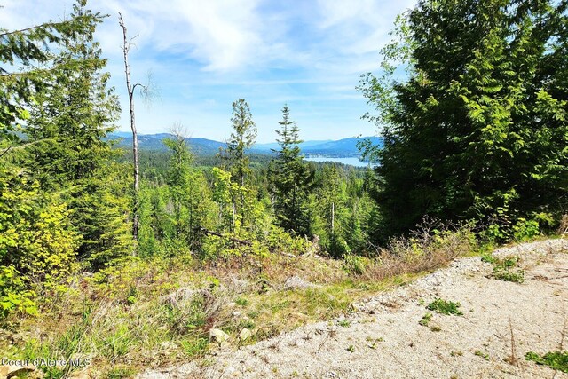 802 Fish Creek Rd Unit H3, Cocolalla, ID 83813