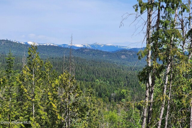 802 Fish Creek Rd Unit H3, Cocolalla, ID 83813