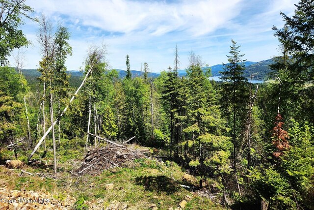 802 Fish Creek Rd Unit H3, Cocolalla, ID 83813
