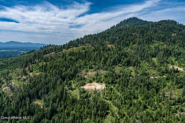 802 Fish Creek Rd Unit H3, Cocolalla, ID 83813