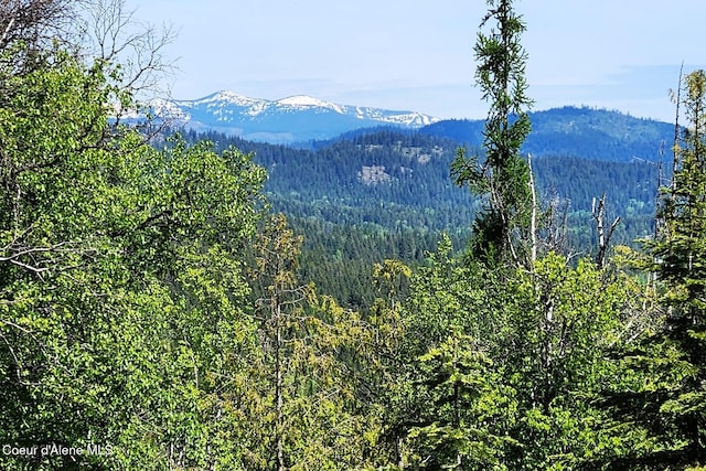 802 Fish Creek Rd Unit H3, Cocolalla, ID 83813