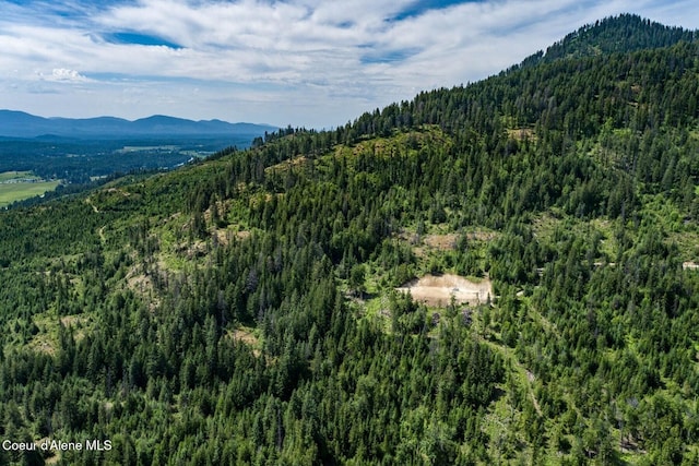 802 Fish Creek Rd Unit H3, Cocolalla, ID 83813