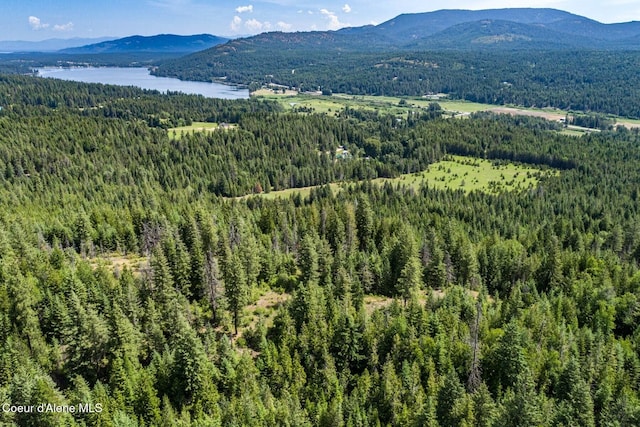 802 Fish Creek Rd Unit H3, Cocolalla, ID 83813