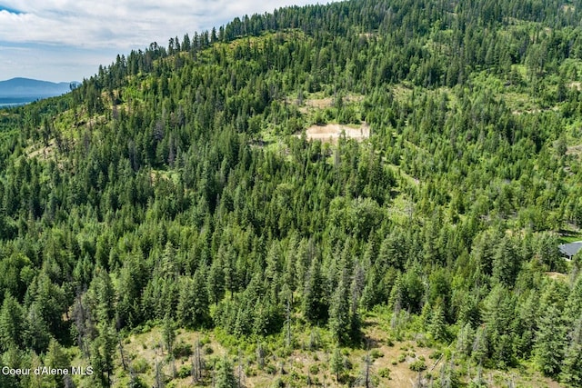 802 Fish Creek Rd Unit H3, Cocolalla, ID 83813