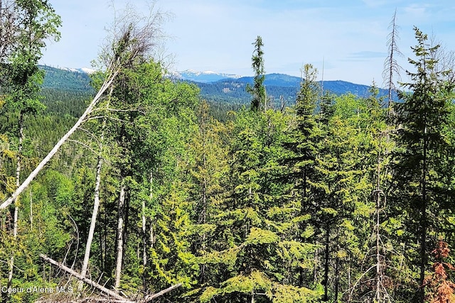 802 Fish Creek Rd Unit H3, Cocolalla, ID 83813