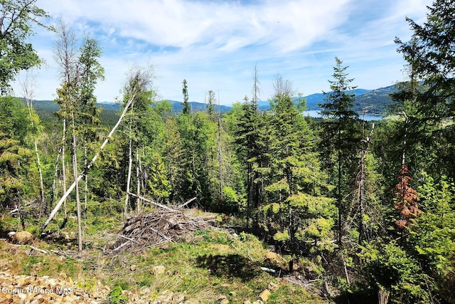 802 Fish Creek Rd Unit H3, Cocolalla, ID 83813