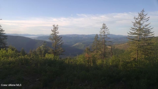 472 Wildflower Dr, Saint Maries, ID 83861 - photo 11