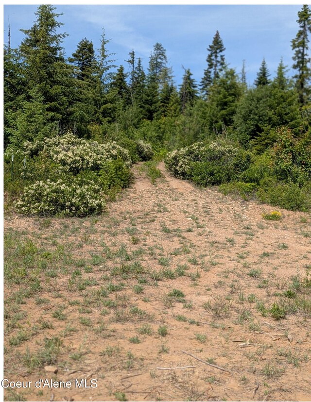 472 Wildflower Dr, Saint Maries, ID 83861 - photo 9