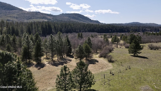 3216 Dufort Rd, Sagle, ID 83860 - view of mountain backdrop with a heavily wooded area and rural landscape