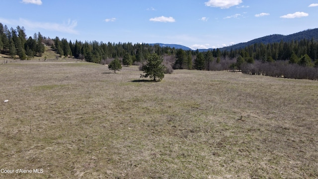 3216 Dufort Rd, Sagle, ID 83860 - view of mountain backdrop featuring a forest and rural landscape