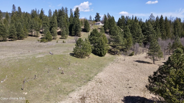 3216 Dufort Rd, Sagle, ID 83860 - view of local wilderness