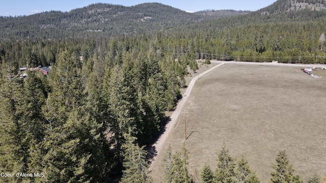 3216 Dufort Rd, Sagle, ID 83860 - mountain view with a heavily wooded area