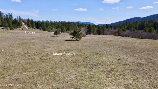 3216 Dufort Rd, Sagle, ID 83860 - view of mountain backdrop with a forest