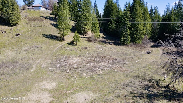 3216 Dufort Rd, Sagle, ID 83860 - view of undeveloped land