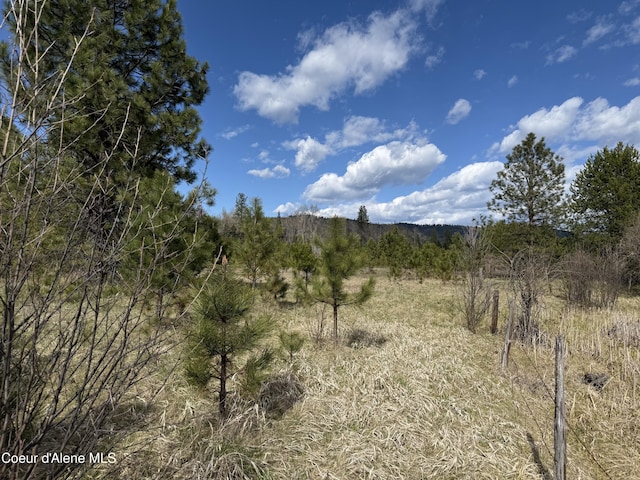3216 Dufort Rd, Sagle, ID 83860 - view of undeveloped land