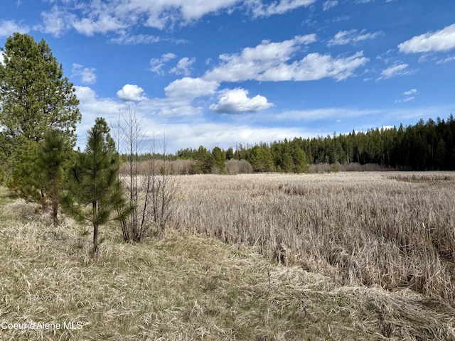 3216 Dufort Rd, Sagle, ID 83860 - view of tree filled area with a rural view