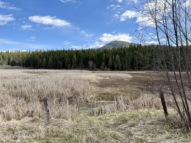 3216 Dufort Rd, Sagle, ID 83860 - mountain view with a forest