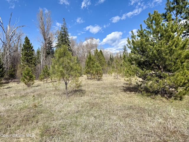 3216 Dufort Rd, Sagle, ID 83860 - view of local wilderness