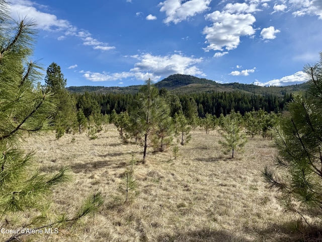 3216 Dufort Rd, Sagle, ID 83860 - mountain view featuring a heavily wooded area