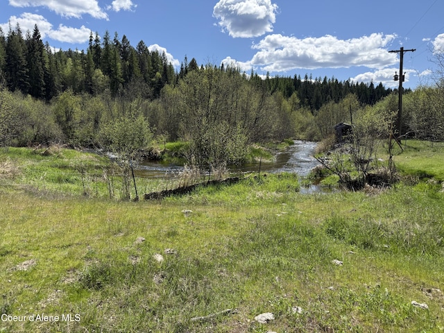 3216 Dufort Rd, Sagle, ID 83860 - view of tree filled area