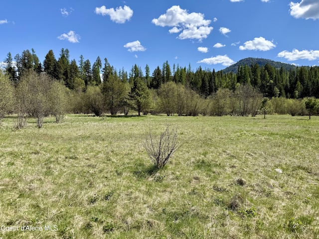 3216 Dufort Rd, Sagle, ID 83860 - view of mountain background featuring rural landscape and a forest