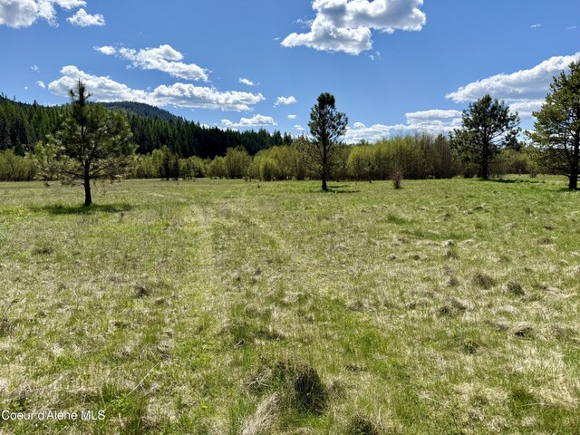 3216 Dufort Rd, Sagle, ID 83860 - view of woods featuring a view of rural / pastoral area