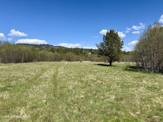 3216 Dufort Rd, Sagle, ID 83860 - view of grassy yard with a view of rural / pastoral area