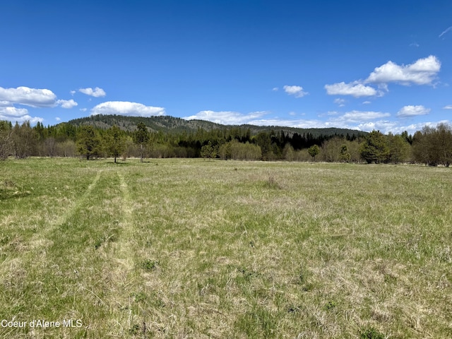 3216 Dufort Rd, Sagle, ID 83860 - view of mountain backdrop featuring a heavily wooded area and rural landscape
