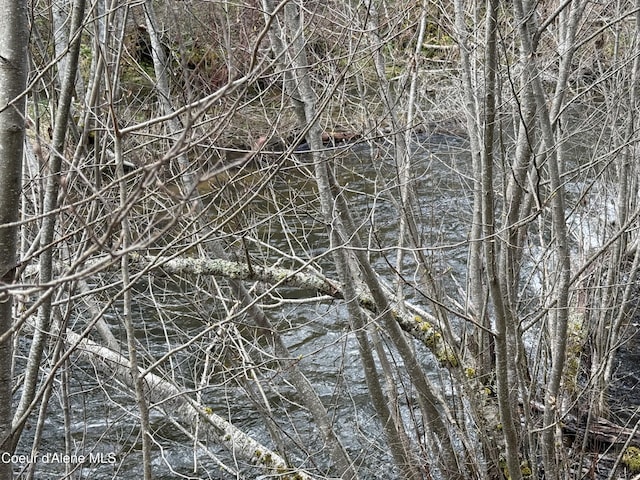 3216 Dufort Rd, Sagle, ID 83860 - view of nature