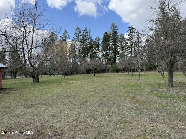 3216 Dufort Rd, Sagle, ID 83860 - view of grassy yard