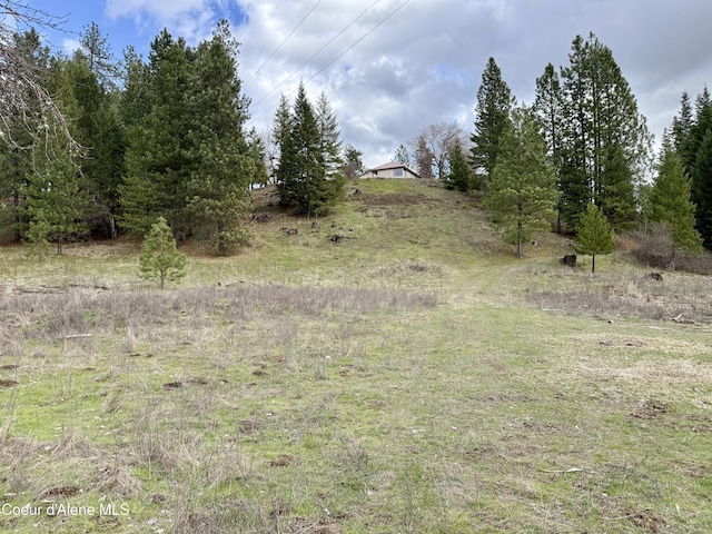 3216 Dufort Rd, Sagle, ID 83860 - view of nature