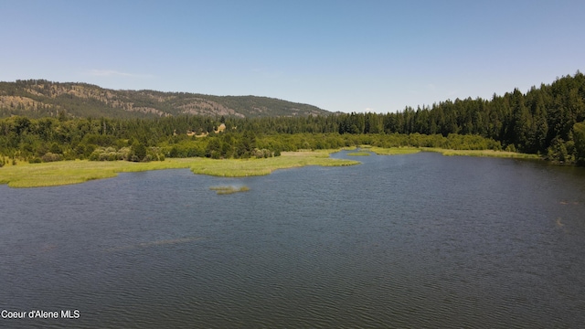 3216 Dufort Rd, Sagle, ID 83860 - water view featuring a heavily wooded area