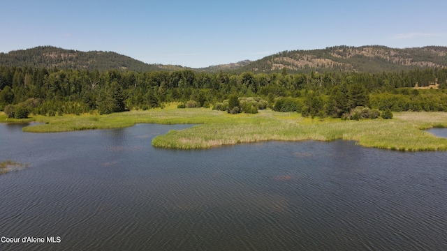 3216 Dufort Rd, Sagle, ID 83860 - water view featuring a forest and a mountainous background