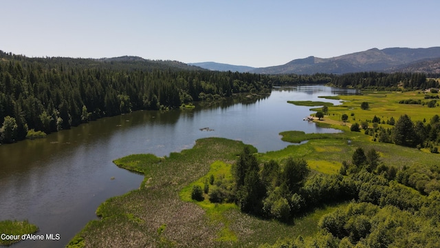 3216 Dufort Rd, Sagle, ID 83860 - water view with a heavily wooded area and mountains