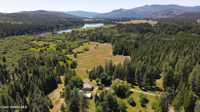 3216 Dufort Rd, Sagle, ID 83860 - bird's eye view of a forest and a water and mountain view